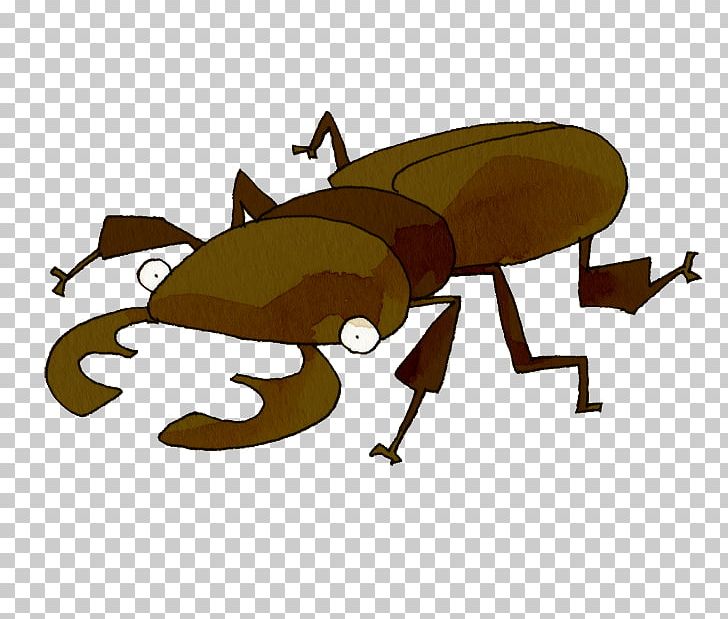 Insect Yuni Garden Stag Beetle Japanese Rhinoceros Beetle PNG, Clipart, Angle, Animal, Animals, Cartoon, Insect Free PNG Download