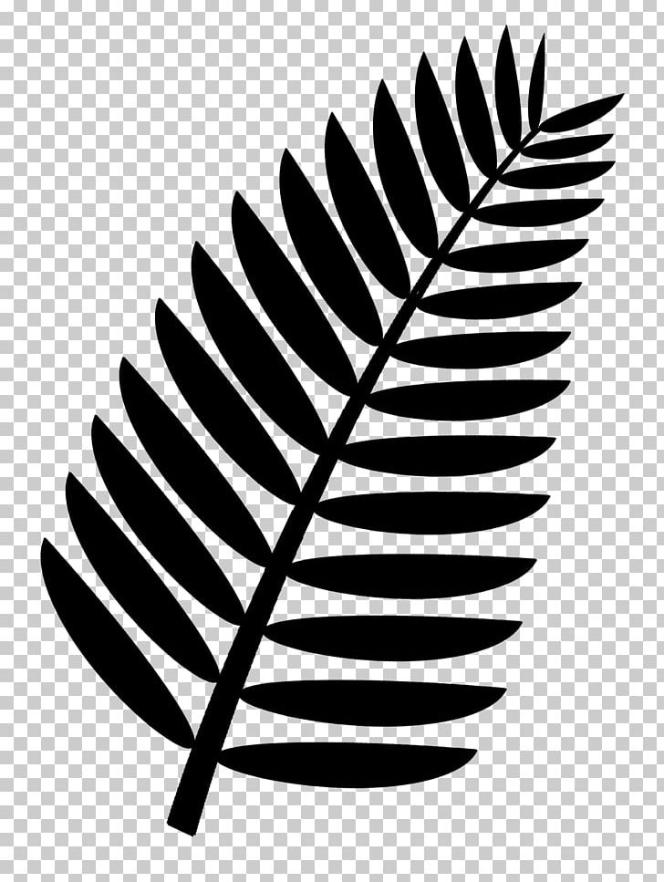 Palm Branch Arecaceae Frond PNG, Clipart, Arecaceae, Black And White, Blog, Branch, Clip Art Free PNG Download
