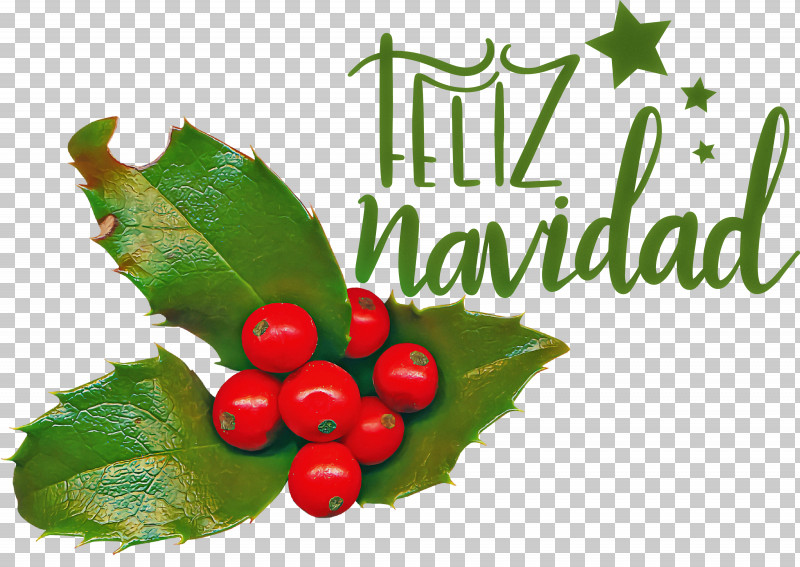 Feliz Navidad Merry Christmas PNG, Clipart, Aquifoliales, Barry M, Biology, Feliz Navidad, Fruit Free PNG Download