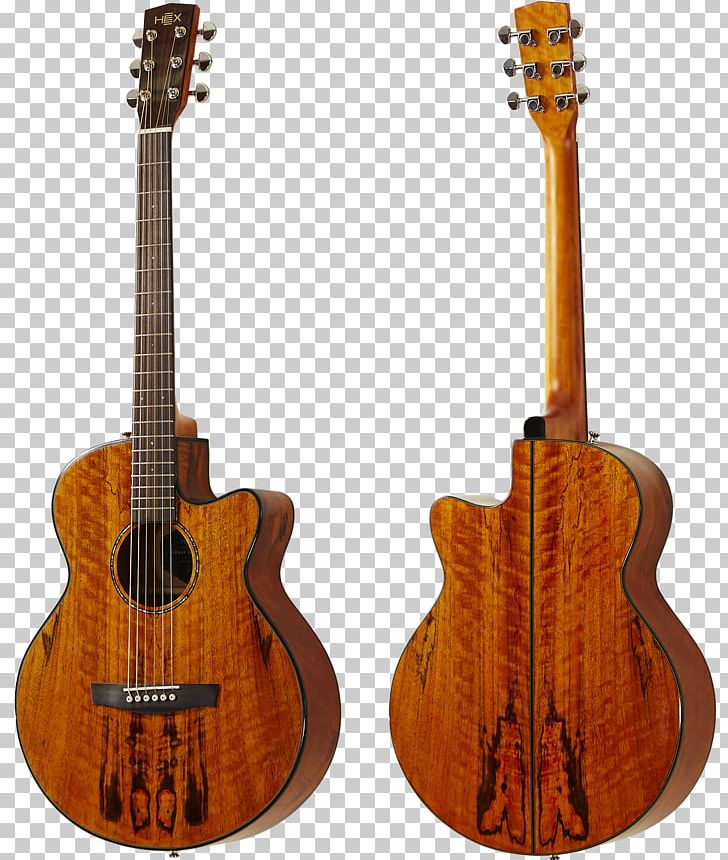 Bass Guitar Acoustic Guitar Tiple Cuatro Acoustic-electric Guitar PNG, Clipart, Aco, Acousticelectric Guitar, Acoustic Electric Guitar, Acoustic Guitar, Acoustic Music Free PNG Download