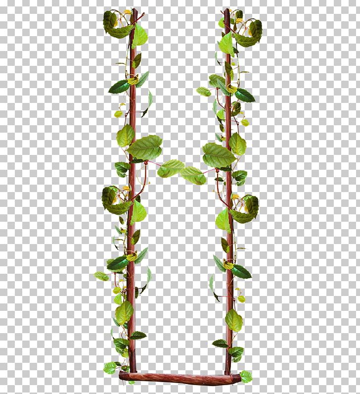 PhotoScape PNG, Clipart, Advertising, Branch, Computer Software, Download, Flora Free PNG Download