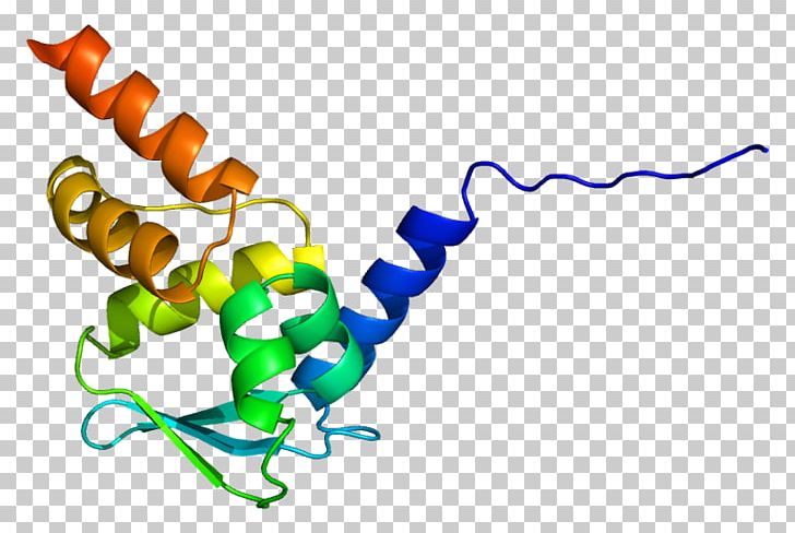 Zinc Finger And BTB Domain-containing Protein 16 BTB/POZ Domain PNG, Clipart, Acute Promyelocytic Leukemia, Animal Figure, Area, Artwork, Miscellaneous Free PNG Download