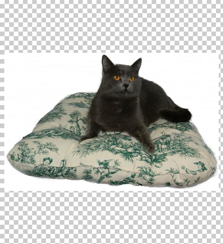 Cushion Table Toile Tuffet Bedroom PNG, Clipart, Bed, Bedroom, Black Cat, Blanket, Carpet Free PNG Download