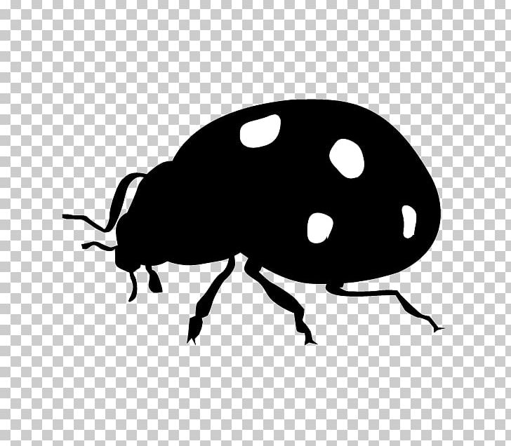Ladybird Beetle Insect Silhouette PNG, Clipart, Animal, Animal Illustration, Animals, Arthropod, Artwork Free PNG Download