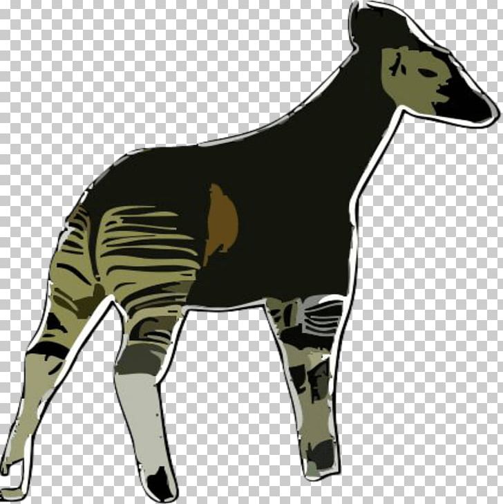 Okapi PNG, Clipart, Animal, Computer Icons, Fauna, Giraffe, Giraffidae Free PNG Download