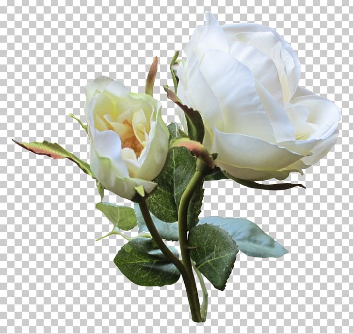 White Flower PNG, Clipart, Accessories, Antiquity, Artificial Flower, Cartoon, Cartoon Character Free PNG Download