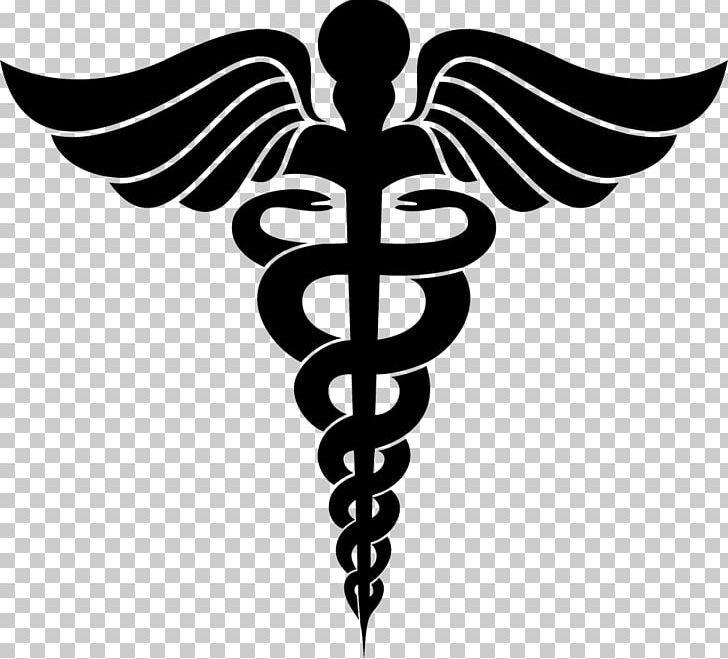 Nursing Pin Registered Nurse Health Care Medicine PNG, Clipart, Black ...