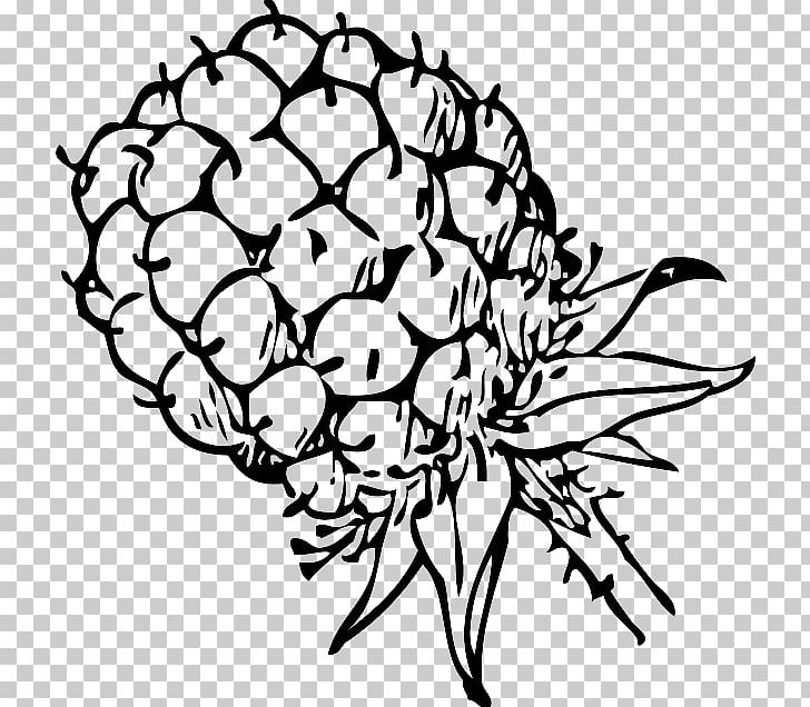 Blackberry Drawing PNG, Clipart, Black And White, Blackberry, Branch, Cut Flowers, Download Free PNG Download