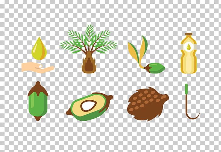 Fruit Arecaceae Palm Oil Illustration PNG, Clipart, Arecaceae, Coconut, Coconut Oil, Droplets, Euclidean Vector Free PNG Download