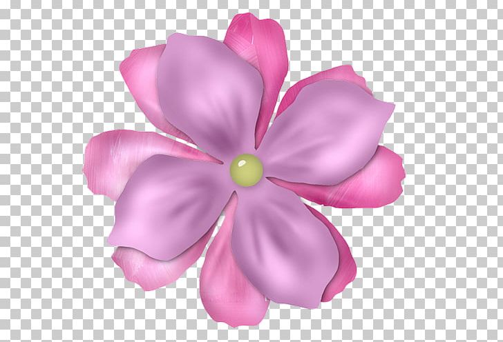 Pink M RTV Pink PNG, Clipart, Chien, Circle, Fleur, Flower, Flowering Plant Free PNG Download