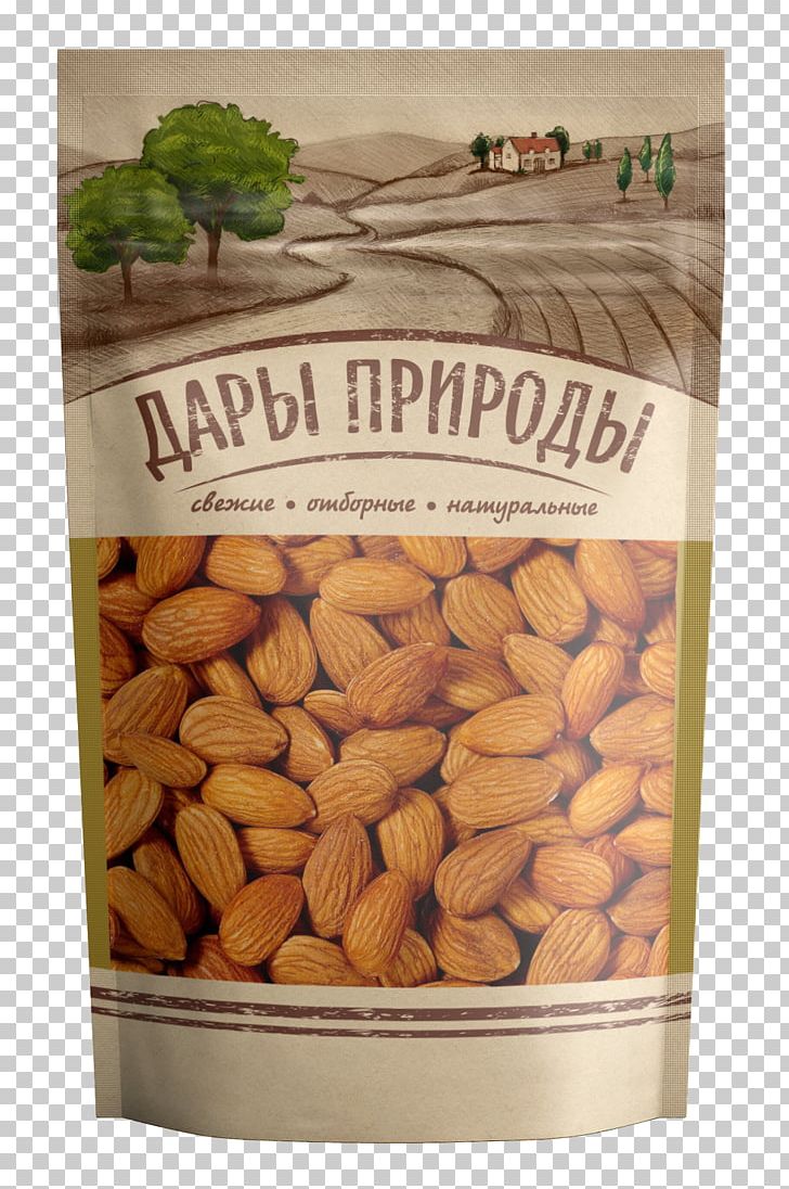 Saint Petersburg Nut Sunflower Seed Dried Fruit Moscow PNG, Clipart, Almond, Cashew, Dried Fruit, English Walnut, Food Free PNG Download
