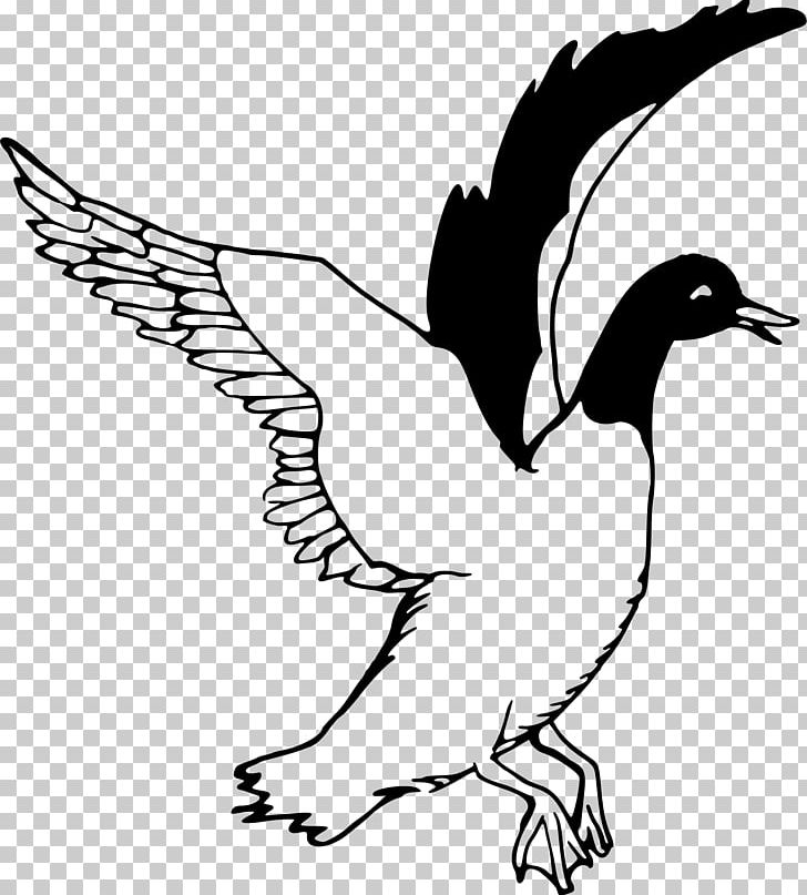 Duck Decoy Bird PNG, Clipart, Animals, Artwork, Beak, Bird, Black And White Free PNG Download
