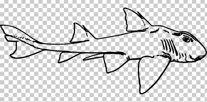 Leopard Shark PNG, Clipart, Animal, Animals, Arm, Artwork, Automotive Design Free PNG Download