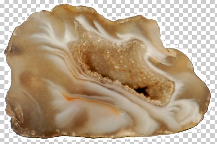 Mineral Geode Agate Stone PNG, Clipart, Agate, Clam, Clams Oysters Mussels And Scallops, Crystal, Filename Extension Free PNG Download