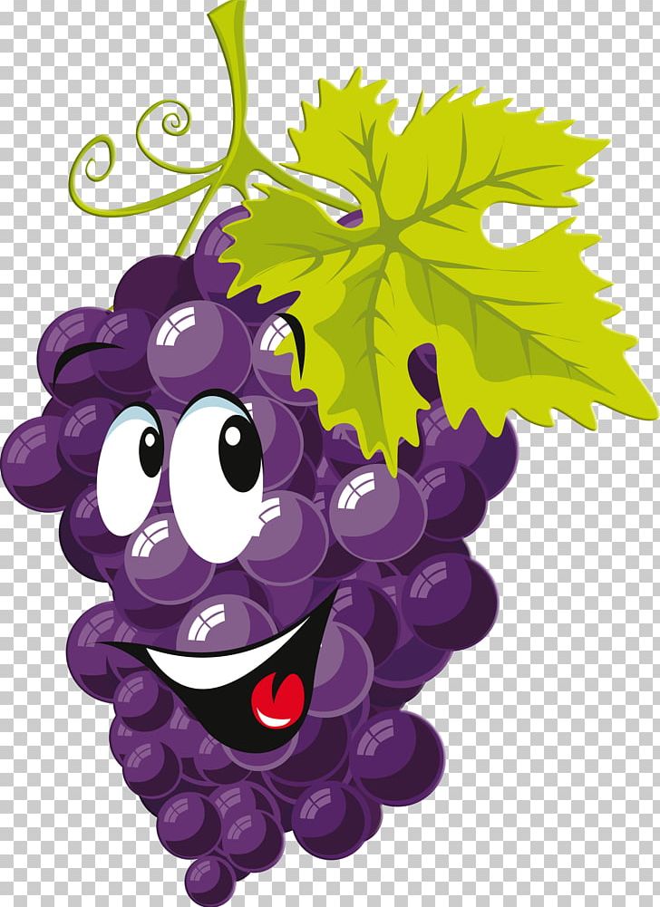 Grape Drawing Cartoon PNG, Clipart, Art, Cartoon, Clip Art, Drawing, Flowering Plant Free PNG Download