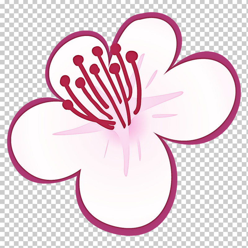 Plum Blossoms Plum Winter Flower PNG, Clipart, Flower, Hibiscus, Magenta, Petal, Pink Free PNG Download
