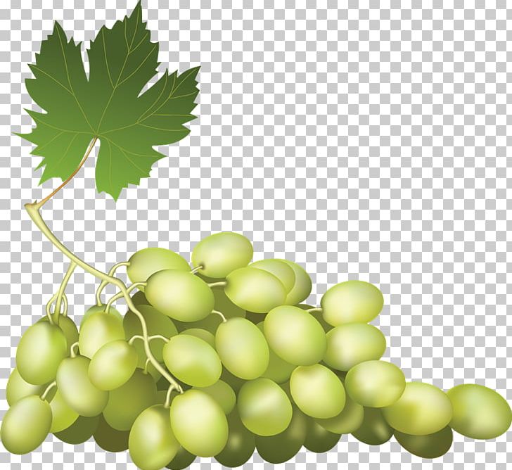 Fruit Grape PNG, Clipart, Art, Download, Encapsulated Postscript, Food, Fruit Free PNG Download