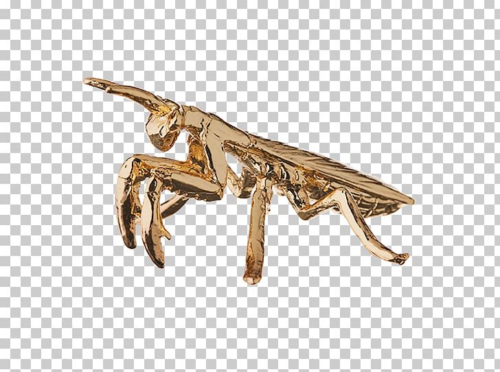 Gold Plating Insect Australia Post PNG, Clipart, Australia Post, Bilbies, Box, Coin, Collectable Free PNG Download