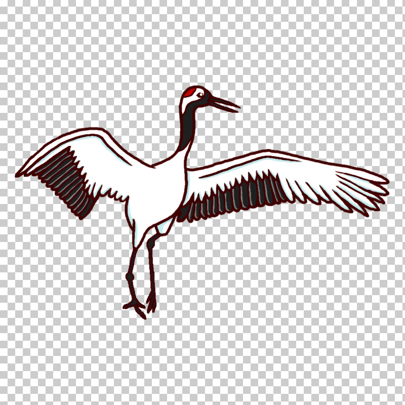Feather PNG, Clipart, Beak, Bird Of Prey, Birds, Columbidae, Crane Free PNG Download
