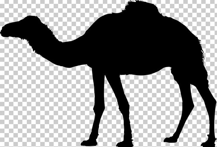 Bactrian Camel Dromedary Silhouette PNG, Clipart, Animals, Arabian Camel, Bactrian Camel, Camel, Camel Like Mammal Free PNG Download
