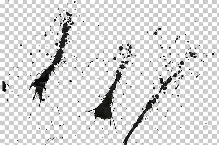 Ink Brush Copyright Notice PNG, Clipart, Beak, Bird, Black And White, Branch, Computer Font Free PNG Download