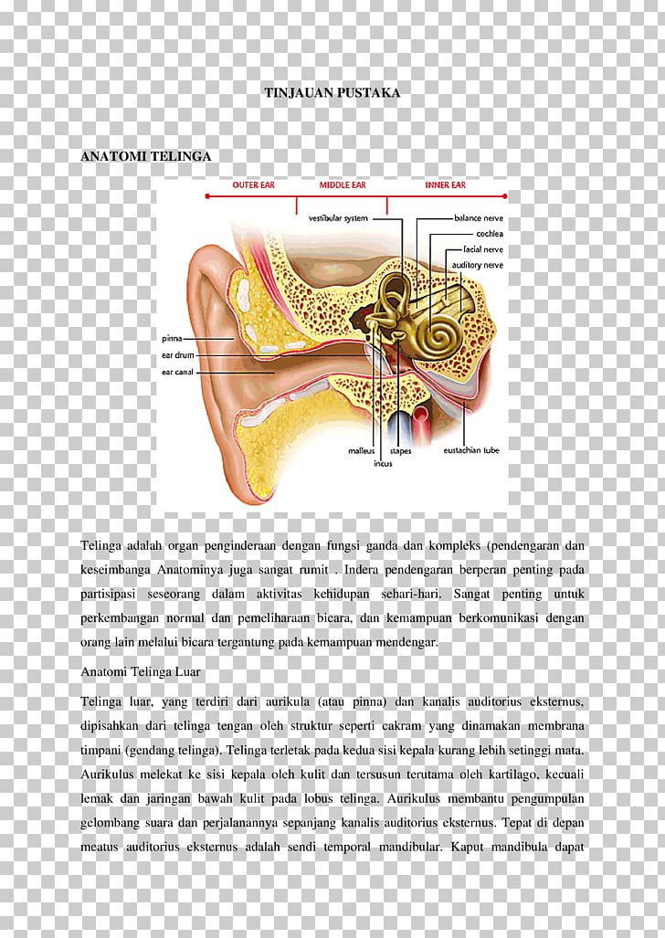 Inner Ear Vertigo Middle Ear Hearing PNG, Clipart, Anatomy, Cochlea, Cochlear Implant, Dizziness, Ear Free PNG Download