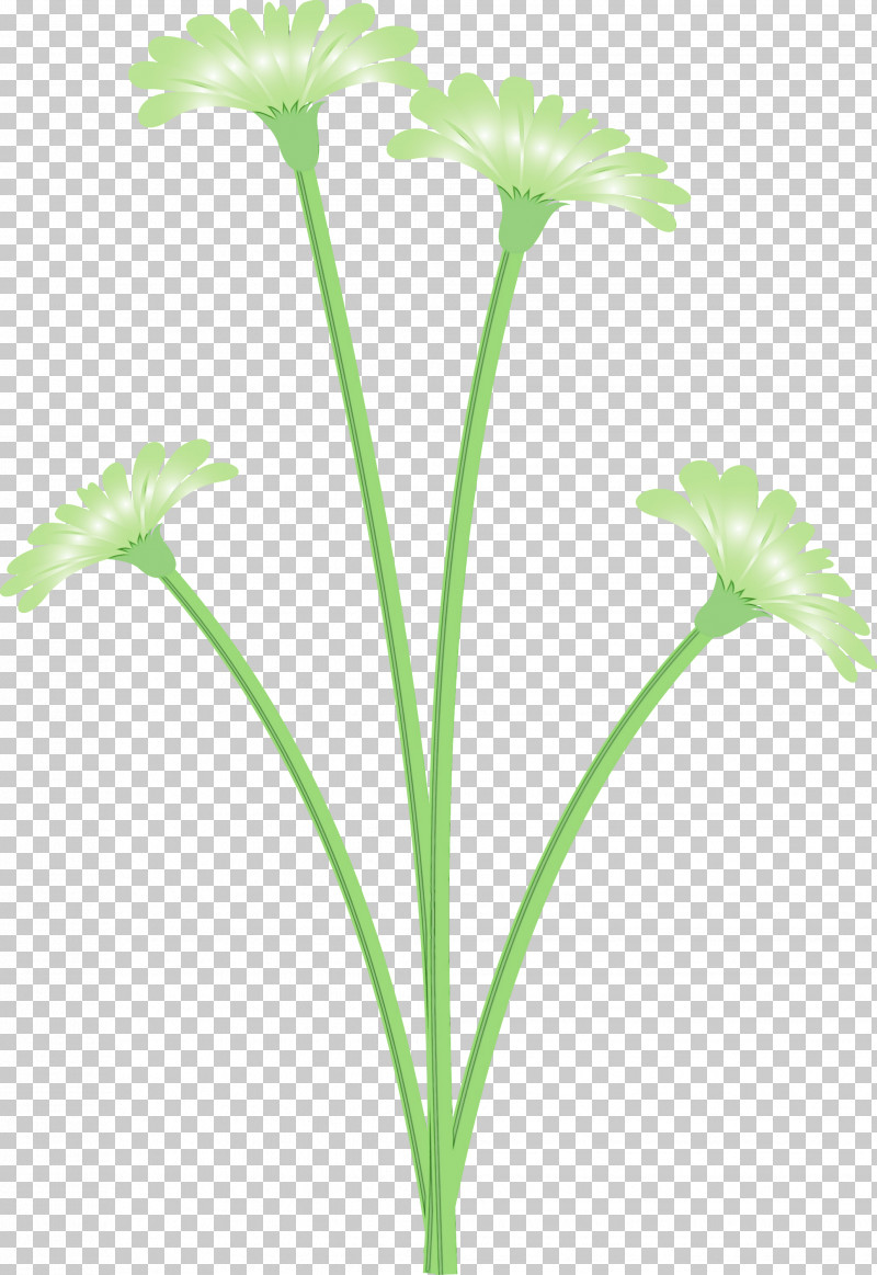 Youtube PNG, Clipart, Cut Flowers, Dandelion Flower, Google, H Query, Leaf Free PNG Download