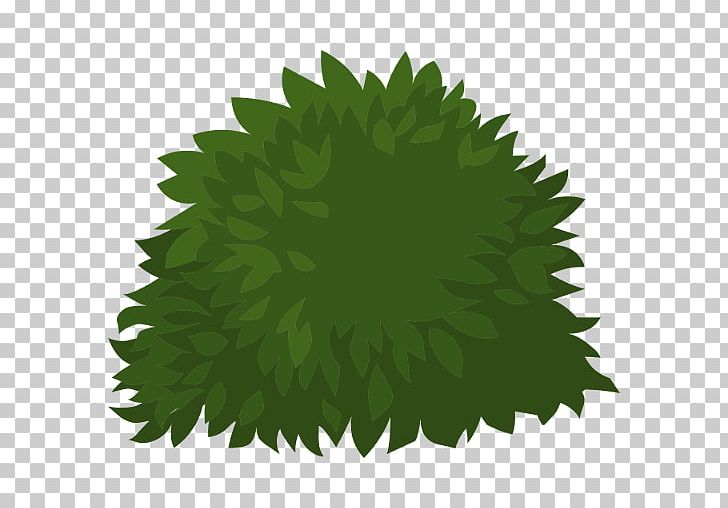 Shrub Tree Nature Hills Nursery PNG, Clipart, Clip Art, Deciduous, Drawing, Gardening, Grass Free PNG Download