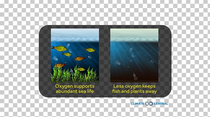World Oceans Day 8 June Climate Central Technology PNG, Clipart, 8 June, Brand, Carbon, Climate, Datas Comemorativas Free PNG Download