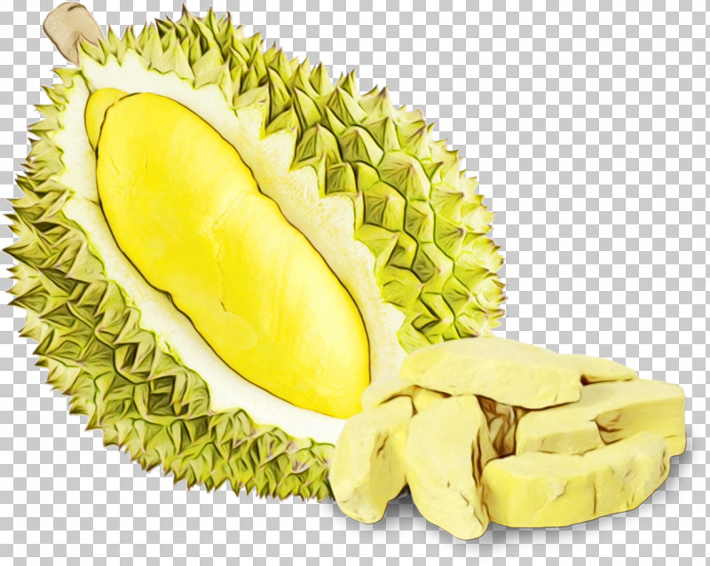 Durian Fruit Plant Food Artocarpus PNG, Clipart, Artocarpus, Cempedak, Durian, Food, Fruit Free PNG Download