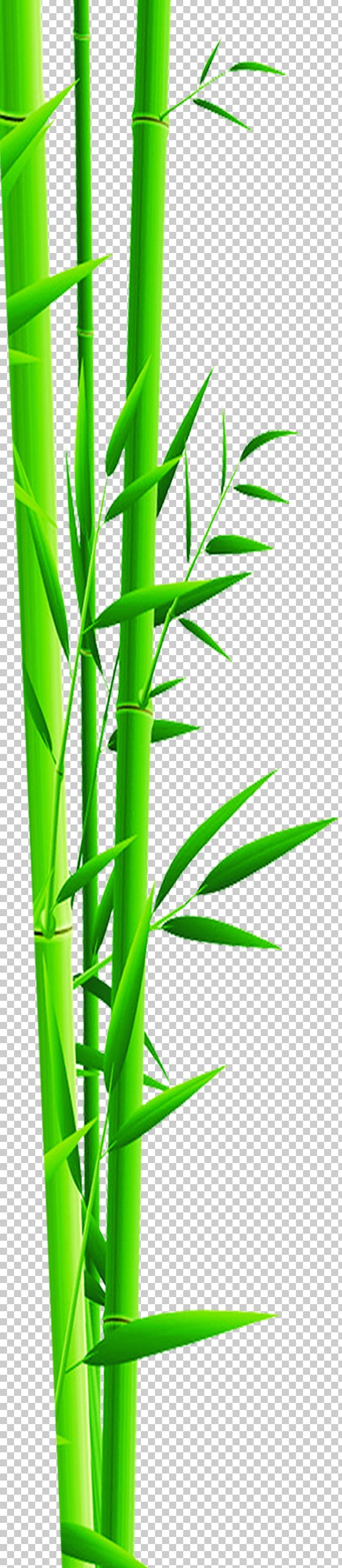 Bamboo Bamboe Gratis Green PNG, Clipart, Advertising Design, Angle, Bamboo Leaves, Cartoon, Design Material Free PNG Download