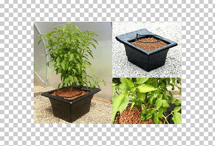 Flowerpot Garden Houseplant Cdiscount Crop PNG, Clipart, 2018, Cdiscount, Crop, Flowerpot, Garden Free PNG Download