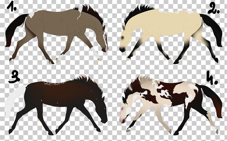 Mule Mustang Foal Mare Stallion PNG, Clipart,  Free PNG Download