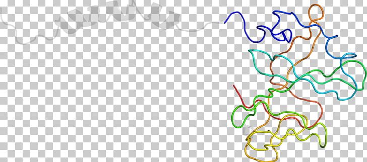 Body Jewellery Line Organism PNG, Clipart, Area, Art, Beta2 Microglobulin, Body Jewellery, Body Jewelry Free PNG Download