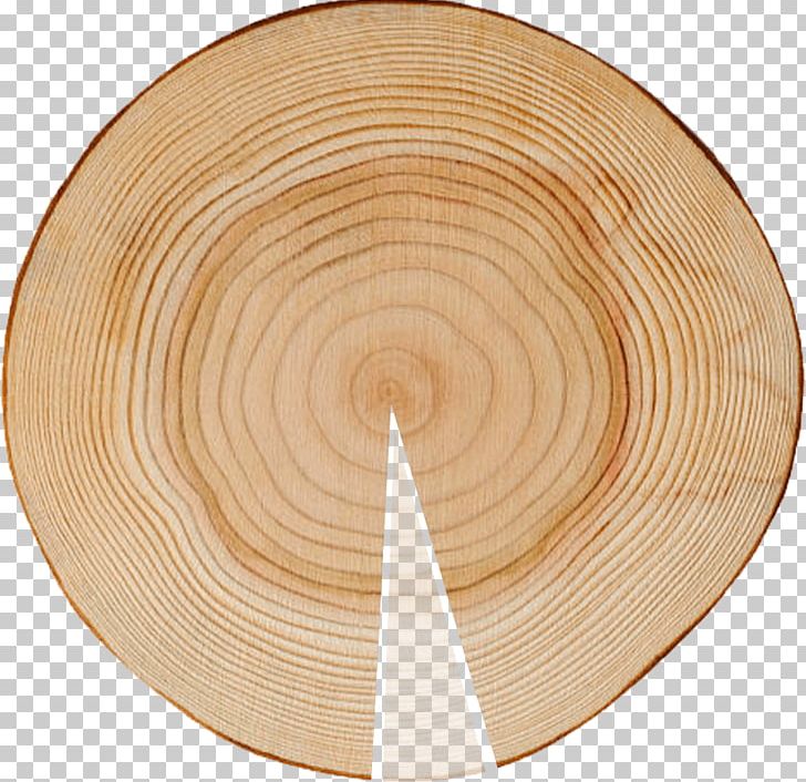 Engineered Wood Particle Board Plywood Oriented Strand Board PNG, Clipart, Adhesive, Architectural Engineering, Circle, Composite Material, Dishware Free PNG Download