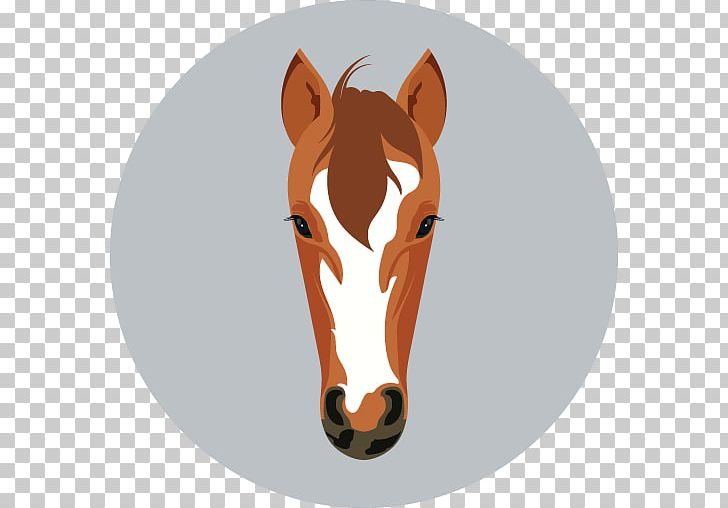 Horse Mane Face PNG, Clipart, Animals, Bridle, Computer Icons, Face, Flat Icon Free PNG Download