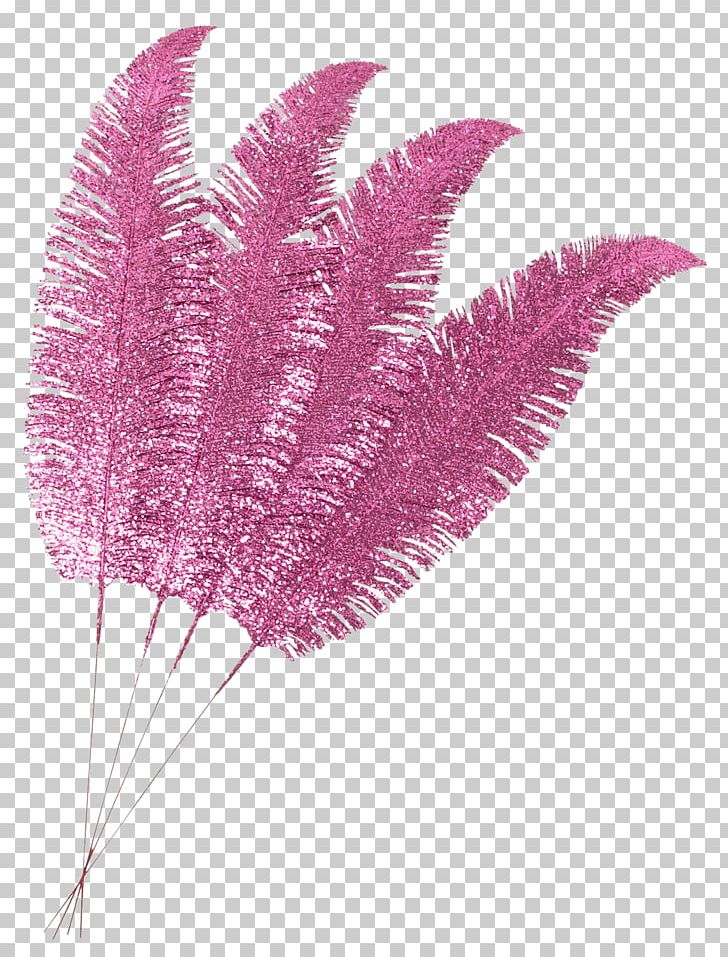 Photography .by PNG, Clipart, Desktop Wallpaper, Feather, Flamenco, Leaf, Magenta Free PNG Download