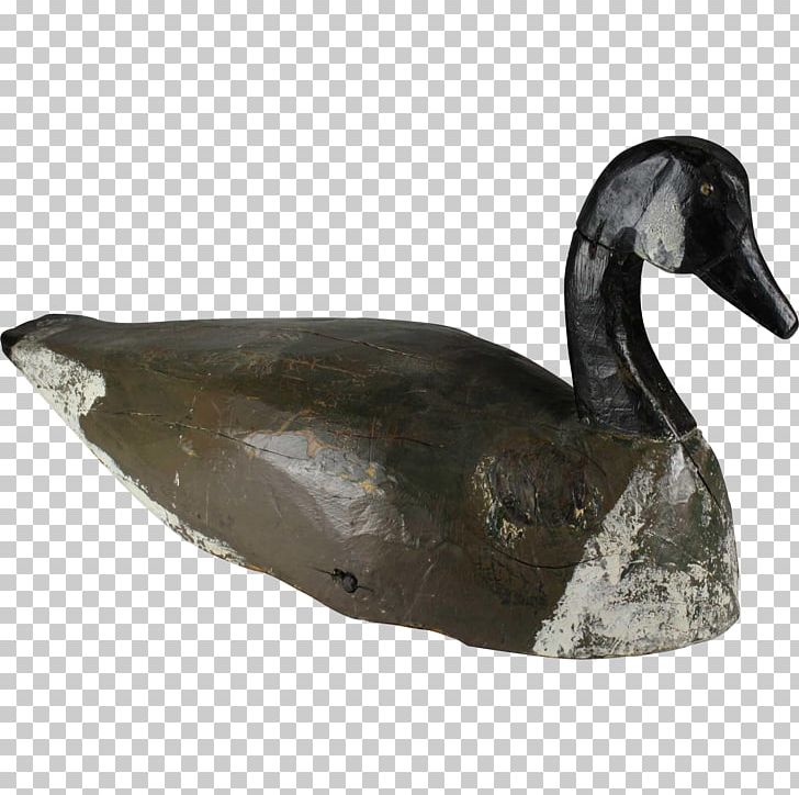 Duck Goose Water Bird Anatidae PNG, Clipart, Anatidae, Animals, Beak, Bird, Cygnini Free PNG Download