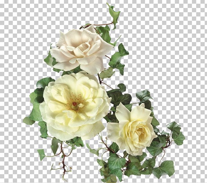 Garden Roses PNG, Clipart, Artificial Flower, Cicek, Cicek Resimler, Cut Flowers, Digital Image Free PNG Download