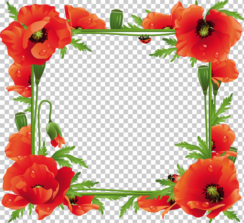 Poppy Frame Flower Frame Floral Frame PNG, Clipart, Coquelicot, Corn Poppy, Cut Flowers, Floral Design, Floral Frame Free PNG Download