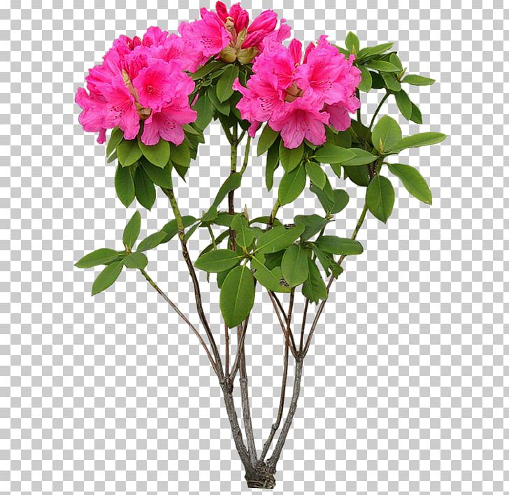 Flower Plant PNG, Clipart, Agac, Annual Plant, Azalea, Branch, Cut Flowers Free PNG Download