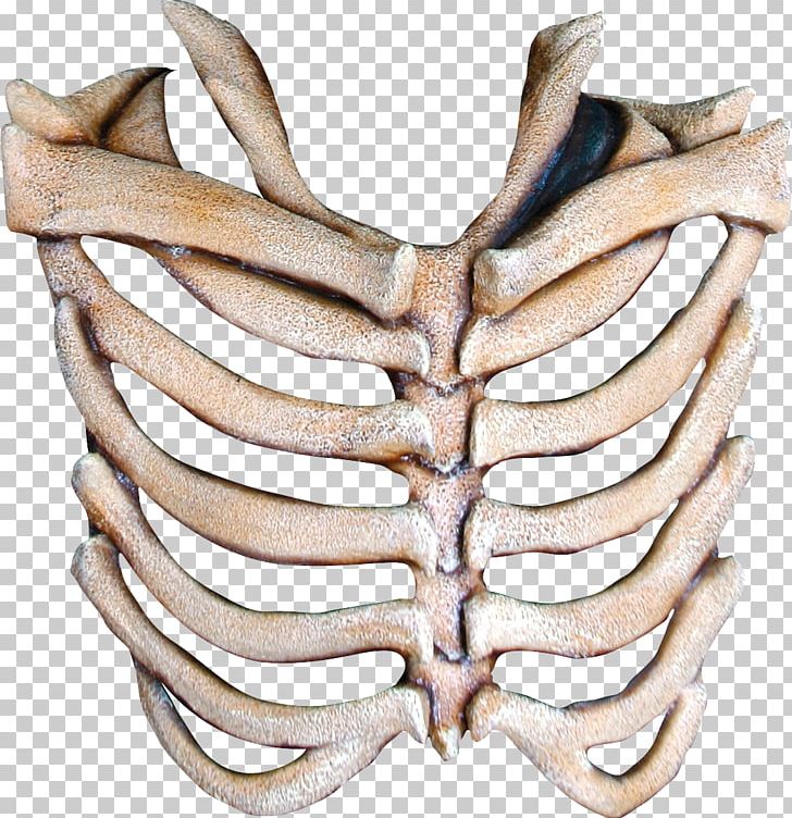 Human Skeleton Mask Bone Rib PNG, Clipart, Antler, Art, Bone, Clavicle, Costume Free PNG Download