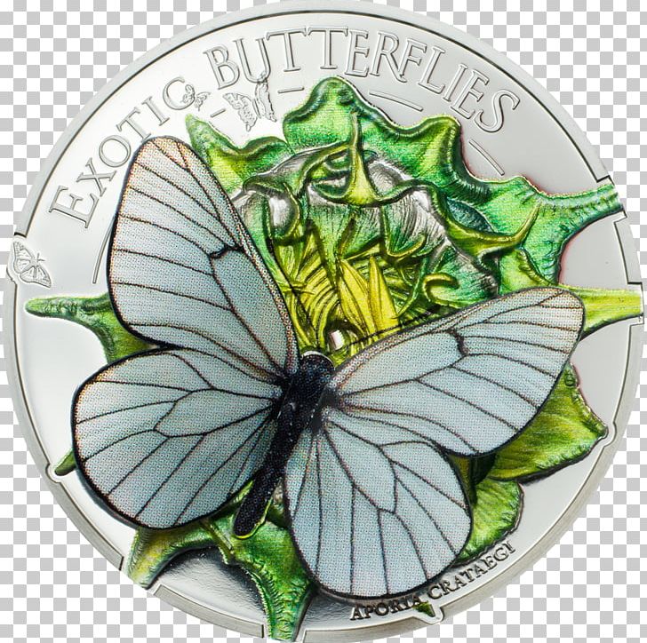 Mongolia Silver Coin Silver Coin Commemorative Coin PNG, Clipart, 2 Euro Commemorative Coins, 3 D, Brush Footed Butterfly, Butterfly, Coin Free PNG Download