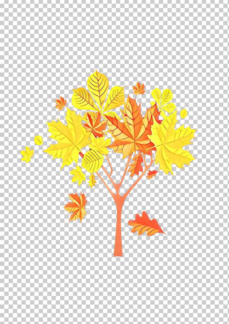 Orange PNG, Clipart, Branch, Flower, Leaf, Orange, Plant Free PNG Download