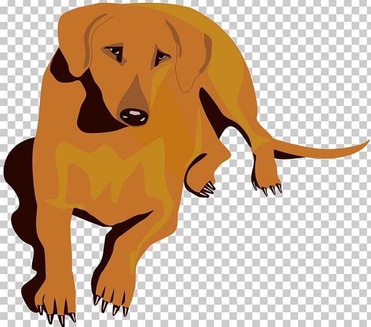 Dog Cat Puppy Lion Mammal PNG, Clipart, Animal, Animals, Big Cat, Big Cats, Canidae Free PNG Download