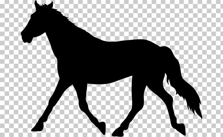 Mustang American Paint Horse Drawing Silhouette PNG, Clipart, Art, Black And White, Bridle, Collection, Colt Free PNG Download