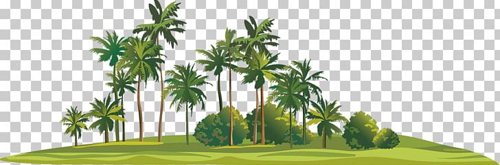 Tropical Islands Resort Game Burning Mondays Asian Palmyra Palm PNG, Clipart, 1xbet, Apuesta, Arecales, Asian Palmyra Palm, Ball Game Free PNG Download