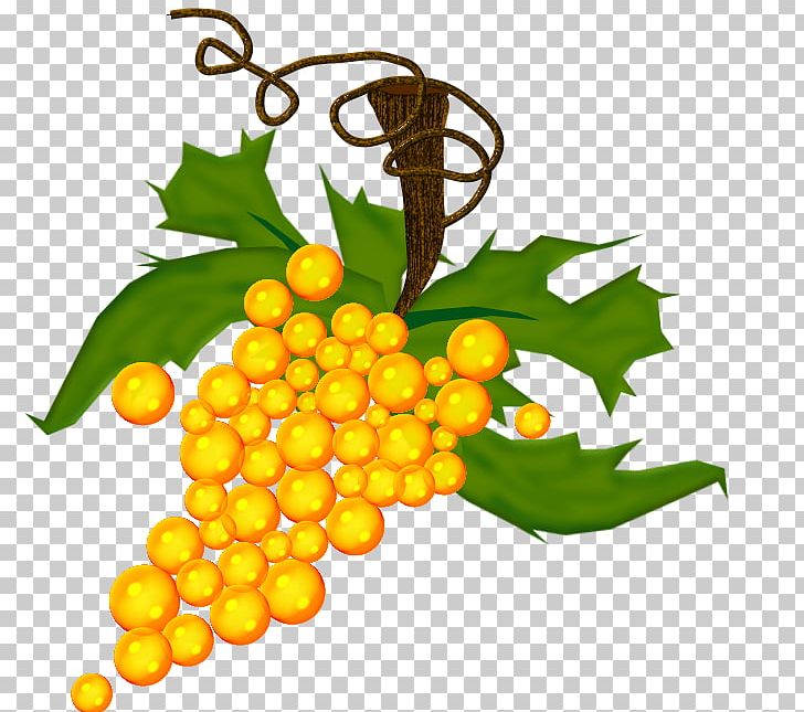 Common Grape Vine Sultana Fruit Vegetable PNG, Clipart, Auglis, Common Grape Vine, Drawing, Flowering Plant, Food Free PNG Download