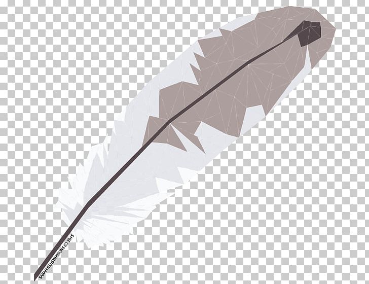 Feather PNG, Clipart, Fashion Accessory, Feather, Geometry Illustration, Quill Free PNG Download