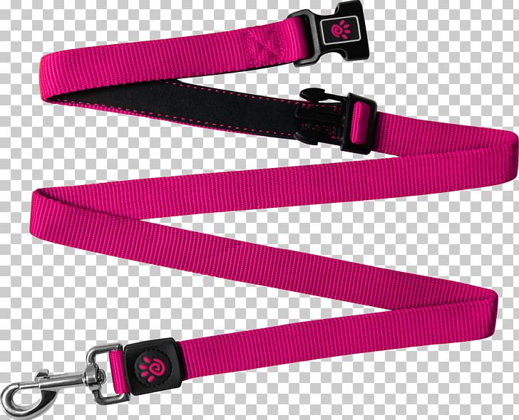 Leash Dog Nylon Strap Customer Review PNG, Clipart, Animals, Color, Customer Review, Dog, Fashion Accessory Free PNG Download